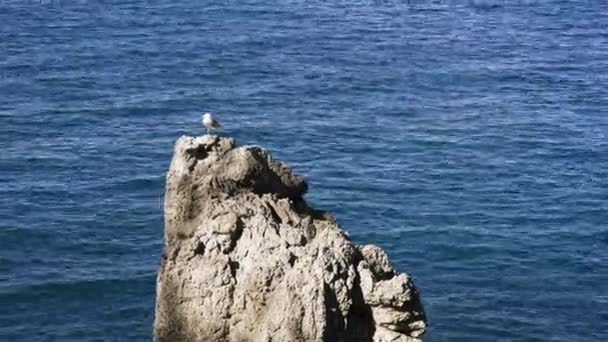 Bela paisagem marinha com uma gaivota solitária em pé sobre uma rocha junto ao mar. Arte. Pequeno pássaro branco em pé em um pico de montanha pedregoso contra o mar azul com ondulações . — Vídeo de Stock