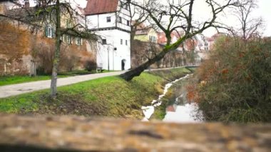 Yeşil bitkiler ve çalılarla kaplı nehir kıyıları boyunca duran eski evlerle güzel bir manzara. - Sanat. Avrupa 'nın küçük bir kasabasında.