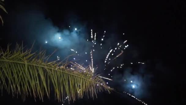 Explosão de fogos de artifício no céu noturno. Acção. Fogos de artifício em um céu noturno — Vídeo de Stock