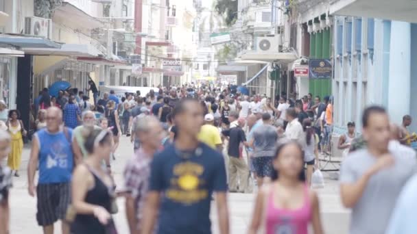 Havana, Cuba - May, 2019: View of the lively street of Cuba. Action. A large group of people on the streets of Havana on a hot day — 비디오