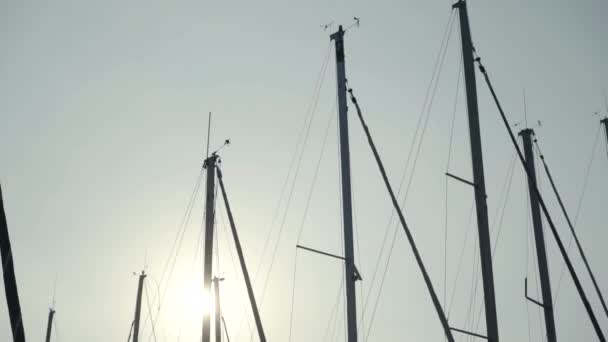 Beautiful view of masts of ships on background of sun and blue sky. Action. Masts of yachts are illuminated by warm sunlight beckoning to sea journey — 비디오