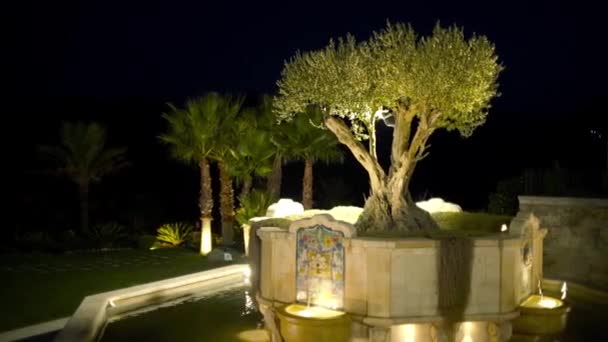 Beautiful old fountain landscape with tree and night light. Action. Ancient stone fountain spring in style of southern architecture with lighting and wood — Stock Video