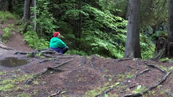 Tylny widok młodego człowieka w czerwonym kapeluszu i turkusowej kurtce odpoczywającej podczas wędrówki po wiosennym lesie. Materiał filmowy. Człowiek podróżnik siedzi na ziemi wśród drzew. — Wideo stockowe