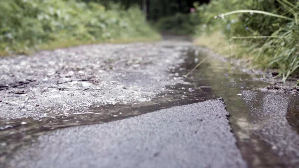 Close-up of muddy path in rain on background of green grass. Stock footage. Macro shooting of dripping rain on muddy forest path with puddles