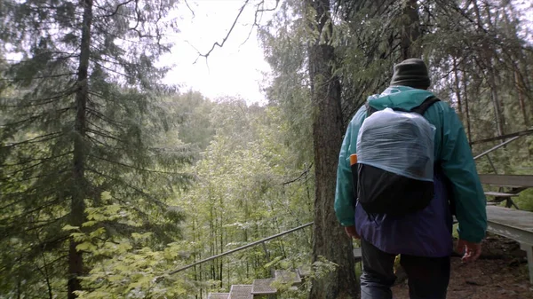 Vista trasera del viajero caminando por el sendero del bosque. Imágenes de archivo. Viajero con mochila y en impermeable va por el camino lleno de baches de bosque denso que baja — Foto de Stock