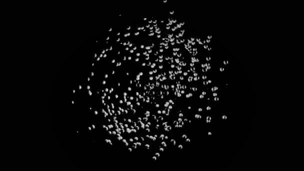 Molte particelle bianche si muovono caoticamente con velocità diversa su sfondo nero, loop senza soluzione di continuità. Animazione. Piccole sfere che formano un cerchio, monocromo . — Video Stock