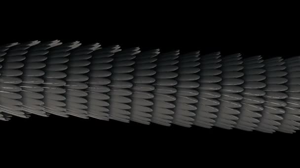 Horisonatalt 3D-rör bildas av silver fjädrar glöder och flyter på svart bakgrund, sömlös loop. Animering. Abstrakt lång figur med ovala formade fjädrar. — Stockvideo