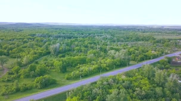 Vista aérea de la carretera a través del bosque verde a la pequeña ciudad sobre fondo azul cielo nublado. Art. Vista superior de los árboles frescos de verano y el camino . — Vídeo de stock