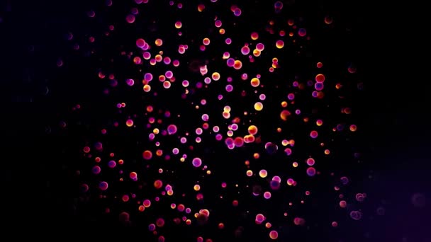 Muchos círculos pequeños de color rosa moviéndose caóticamente sobre fondo negro, lazo sin costuras. Animación. Patrón Bokeh, nube colorida de partículas oscilantes . — Vídeos de Stock