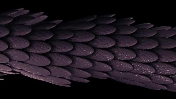 Αφηρημένη κομψό μωβ κινούμενο σωλήνα από πολλά φτερά που καλύπτονται από κολλώδη ουσία σε μαύρο φόντο, αδιάλειπτη βρόχο. Κινούμενα σχέδια. Πολλά μικρά οβάλ φτερά. — Αρχείο Βίντεο