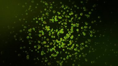 Siyah zemin üzerinde yüzen doğal toz parçacıkları, yavaş çekimde yeşil parçacıklar. Animasyon. Renkli aynı altı daire kaotik ve pürüzsüz bir şekilde hareket ediyor..