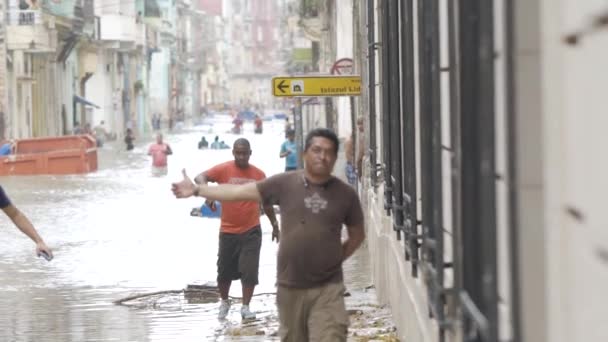 L'Avana, Cuba - Maggio, 2019: Veduta della vivace strada di Cuba. Azione. Un grande gruppo di persone per le strade dell'Avana in una giornata calda — Video Stock