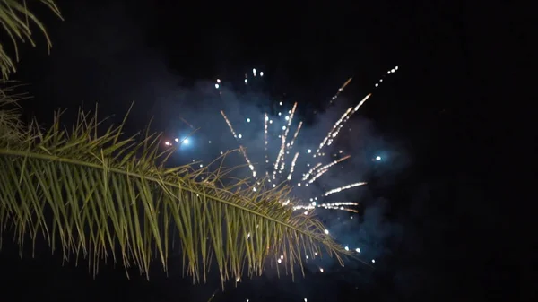 Explosão de fogos de artifício no céu noturno. Acção. Fogos de artifício em um céu noturno — Fotografia de Stock