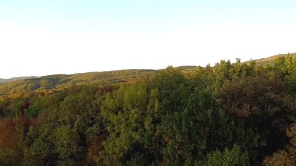 Horní pohled na horský les na podzim. Zastřelen. Krásný oranžový a červený podzimní les, mnoho stromů na oranžových kopcích — Stock video