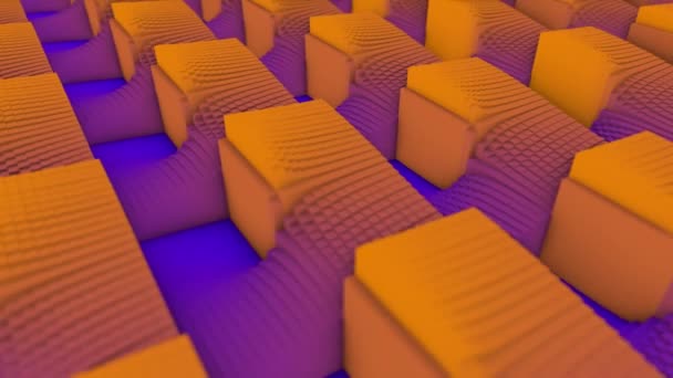 Abstract background of colored cubes on the floor. Animation. Multicolored abstract animation of colorful cubes moving smoothly in space and forming the waves — 비디오