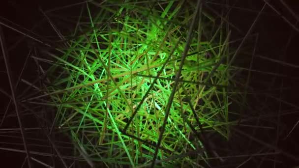 Animation de fils enchevêtrés colorés sur un fond noir. Animation. Bouquet coloré de lignes sur un fond noir 