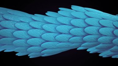 Siyah arka planda sürünen renkli bir ejderhanın animasyonu. Animasyon. Ejderha animasyonunun kusursuz döngü arkaplanı