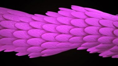 Siyah arka planda sürünen renkli bir ejderhanın animasyonu. Animasyon. Ejderha animasyonunun kusursuz döngü arkaplanı