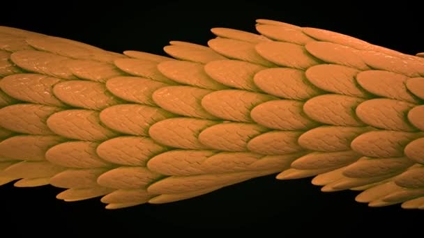 Animación de dragón de color. Animación. Parte de un dragón de flexión de color sobre un lazo de fondo negro — Vídeos de Stock