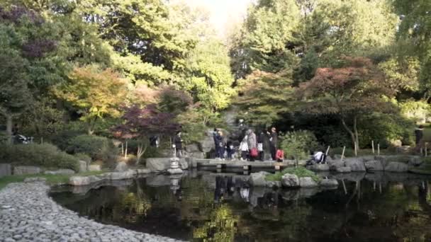 小さな池があるロンドンの美しい国立公園と緑の木々の背景に家族が歩いています。行動だ水面に人々の反射と石に囲まれた小さな池. — ストック動画