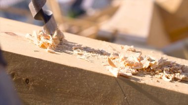 Marangoz, evin tadilatı ya da yeniden inşası sırasında ahşap kiriş kazıyor. Şarjör. Elektrikli matkabı ve tahta talaşlarını kapatın..