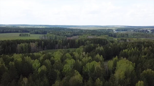 Légi kilátás erdő és zöld rét, nyári természet táj. Készletfelvétel. Festői vidéki mezők madártávlatból és zöld ligetből. — Stock Fotó