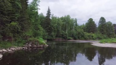 Gri bulutlu arka planda yeşil çam ağaçlarıyla çevrili sakin orman nehri. Stok görüntüleri. Kozalaklı orman ve nehir kenarındaki taşlı sahil..