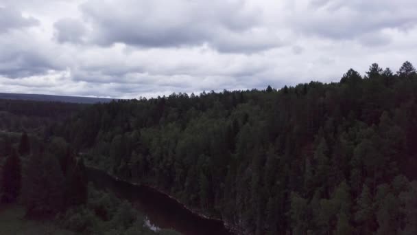 Luchtfoto van de zomeravond in dicht naaldbos en een smalle rivier op bewolkte lucht achtergrond. Voorraadbeelden. Groene zomer natuur, pijnbomen en struiken. — Stockvideo