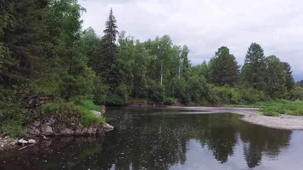 Rivière pittoresque de forêt calme entourée de pins verts sur fond gris ciel nuageux. Images d'archives. Forêt de conifères et rivage pierreux près de la rivière . — Photo
