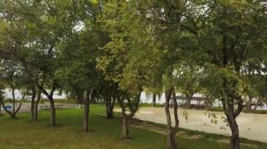 Şehirdeki nehrin yanındaki parkta ilkbahar. Stok görüntüleri. Büyüyen ağaçları, yeşil çayırları ve yaz mevsiminde bankları olan yeşil ara sokaklar..