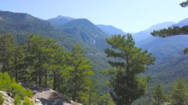 Mavi arka planda yeşil ormanlarla kaplı dağların üzerinden uçuyor. - Sanat. Yaz mevsiminde yeşil tepelerin nefes kesici manzarası.