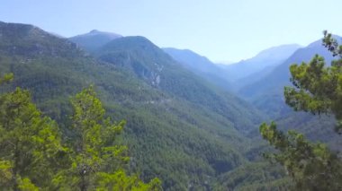 Mavi arka planda yeşil ormanlarla kaplı dağların üzerinden uçuyor. - Sanat. Yaz mevsiminde yeşil tepelerin nefes kesici manzarası.