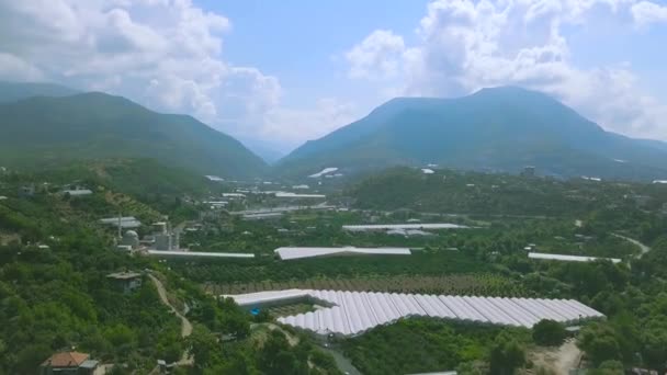 Pittoreska gröna kuperade dalen nära åkrar jordbruk. Konst. Flygfoto av grön liten stad på sommaren på blå himmel bakgrund. — Stockvideo