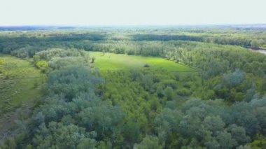 Panoramik hava manzaralı güzel küçük bir kasaba ve çevresindeki çayırlar. - Sanat. İnanılmaz yeşil ağaçlar ve tarlalar arkasında küçük bir kasaba.
