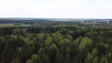 Ormanın ve yeşil çayırların havadan görünüşü, yaz doğa manzarası. Stok görüntüleri. Kuşbakışı ve yeşil koruluktan resim gibi kırsal alanlar.