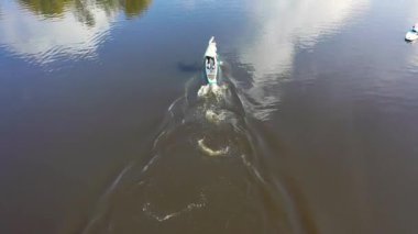 Sup sörfü için stand-up pedalları. Görüntü. Yemek masasında yüzen tepedeki manzara Yazın gölet üzerindeki tahta