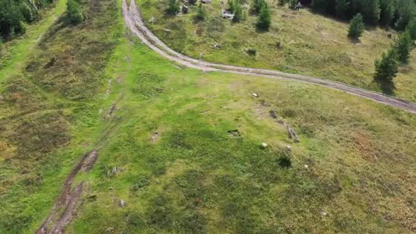 Pohled shora na zelený travnatý les za městem. Záběry. Krásný letní pohled na zelenou louku — Stock video