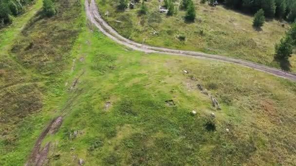 Pohled shora na zelený travnatý les za městem. Záběry. Krásný letní pohled na zelenou louku — Stock video