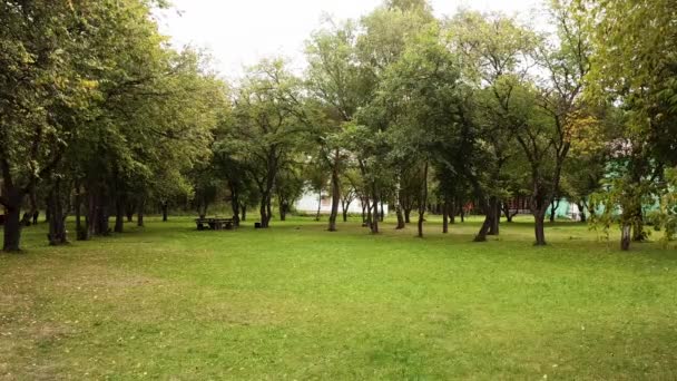 Pelouse verte dans le parc de la ville et feuillage vert se balançant lentement dans le vent par une journée d'été ensoleillée. Images d'archives. prairie fraîche lumineuse, arbres en croissance et vieux banc en bois .