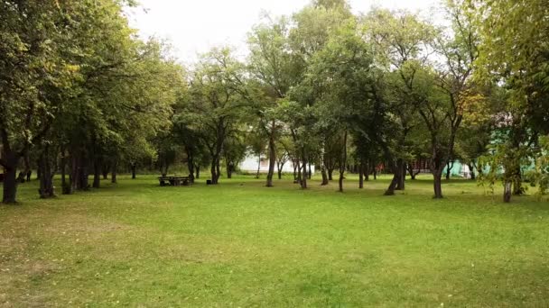 Gramado verde no parque da cidade e folhagem verde balançando lentamente ao vento em um dia ensolarado de verão. Imagens de stock. Prado fresco brilhante, árvores em crescimento e velho banco de madeira . — Vídeo de Stock