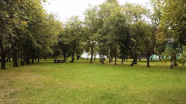 Groene gazon in het stadspark en groen gebladerte zwaaien langzaam in de wind op een zonnige zomerdag. Voorraadbeelden. Heldere verse weide, groeiende bomen en oude houten bank. — Stockfoto