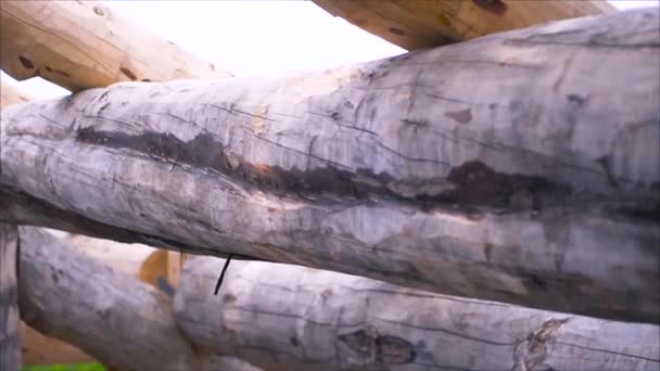 Close up of the wooden logs, a part of the wooden frame. Clip. New ecological house during building process, carpentry concept. — Stock Footage Close up of the wooden logs, a part of the wooden frame. Clip. New ecological house during building process, carpentry concept. Royalty Free Stock Video