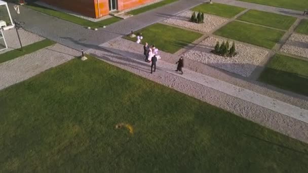 Flygfoto av bröllopsfotografering utomhus. Konst. Nygifta man och kvinna med barn poserar framför två fotografer på färsk grön gräsmatta. — Stockvideo