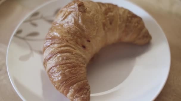 Top view of tasty fresh croissant lying on the white glass plate, french breakfast concept. Stock footage. Close up of beautiful pastry product on the wooden surface. — Stock Video