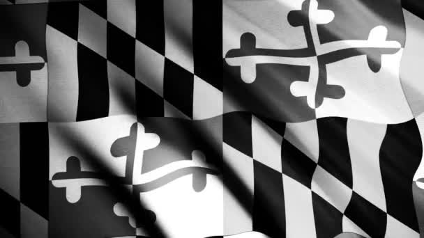 Gros plan d'un drapeau abstrait noir et blanc de l'État du Maryland flottant dans le vent. Animation. Drapeau américain en boucle transparente mouvement 3d, monochrome . — Video