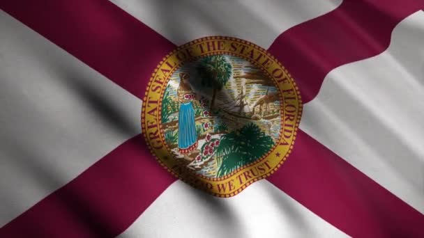 Florida realistische flaggentextur mit welligen, vereinigten staaten von amerika, nahtlose schleife. Animation. Nahaufnahme der abstrakten flatternden Textur der Flagge. — Stockvideo