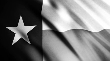 Gerçekçi siyah beyaz Teksas Amerika Birleşik Devletleri bayrağı rüzgarda dalgalanıyor, kusursuz döngü. Animasyon. Dalgalı bayrağın son derece detaylı kumaş dokusu, tek renkli bir yıldız..