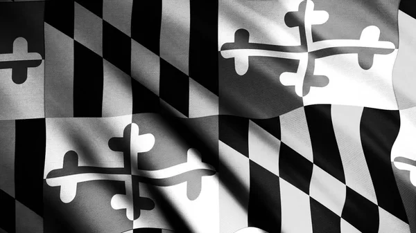 Close-up de uma bandeira abstrata do estado de Maryland preto e branco agitando-se ao vento. Animação. Bandeira americana em movimento 3d loop sem costura, monocromático . — Fotografia de Stock