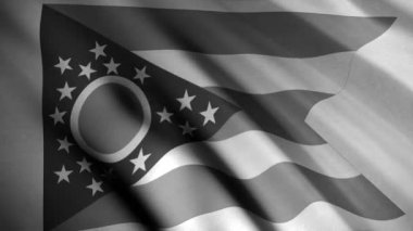 Ohio eyaletinin siyah beyaz bayrağını yavaşça dalgalanan dalgalanmalar ve pürüzsüz bir döngü halinde kapatın. Animasyon. Birleşik Devletler 'in soyut bayrağı rüzgarda sallanıyor, tek renk..