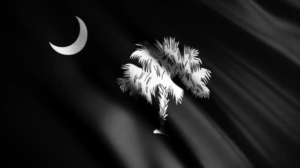 Blanco y negro Realista de Carolina del Sur EE.UU. bandera ondeando en el viento, bucle sin fisuras. Animación. Bandera con media luna y palmera, monocromo . — Vídeo de stock